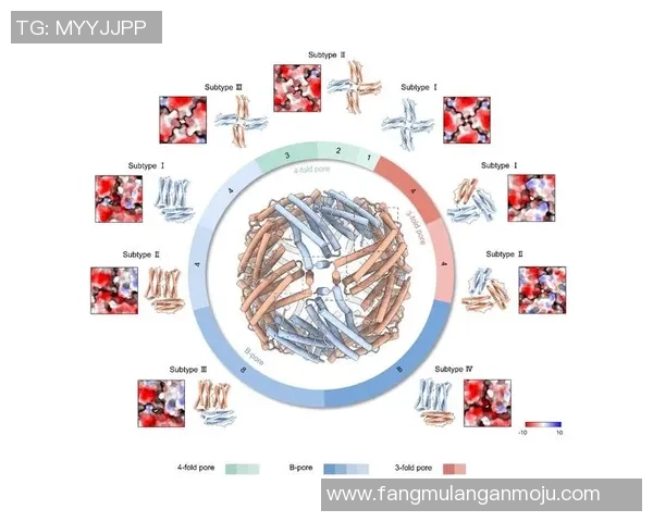 重庆排球队在钻石联赛中的团队协作表现分析与展望