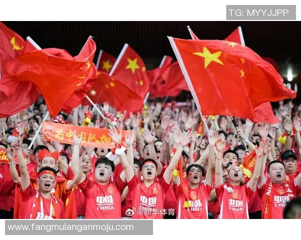 中国足球明星最新排名揭晓谁将成为未来的球场之星