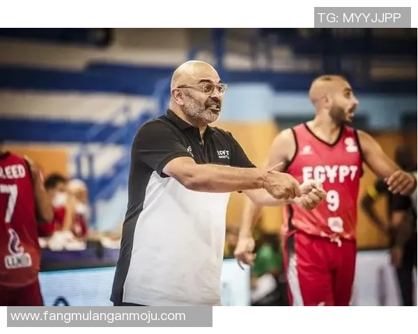 深圳足球队逆袭之路：从低谷到巅峰的奋斗与荣耀