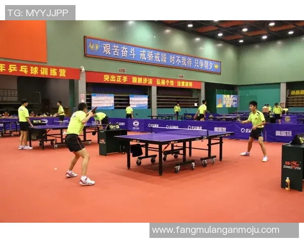 西安乒乓球队的蜕变与成长：一段不平凡的转型历程纪实