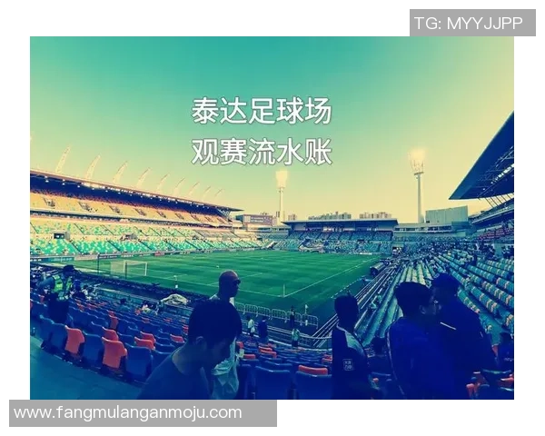 足球明星加盟天津的可能性与未来发展展望分析 足球明星加盟天津的可能性与未来发展展望分析