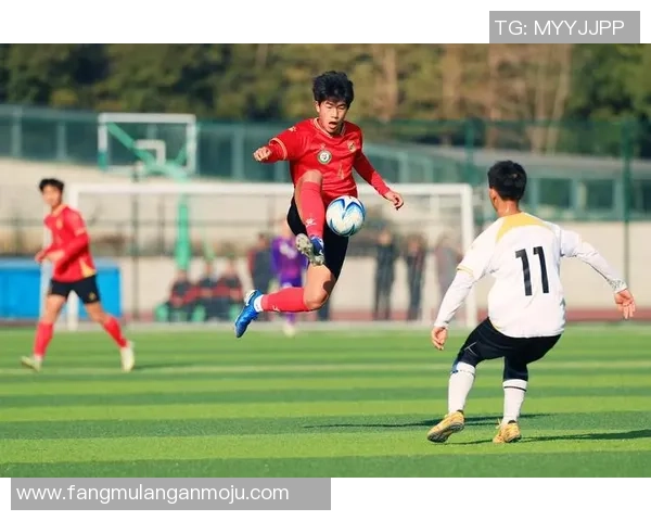 南京足球队强势崛起荣登全国足球力量排行榜第二名