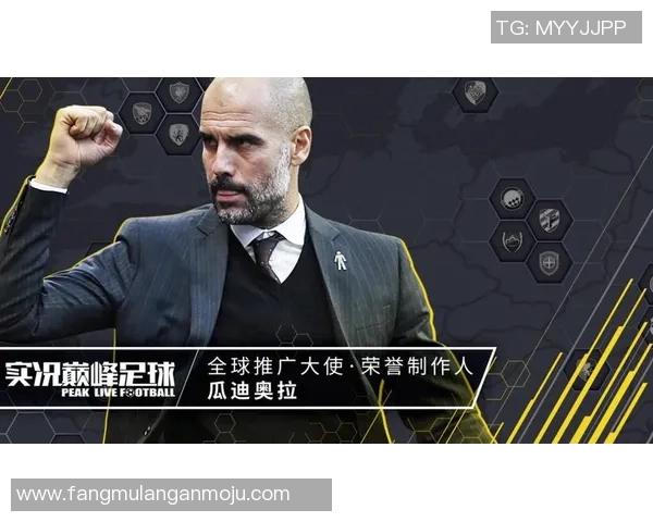 河南足球明星代言价格揭秘及其市场影响分析